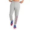 Men's Champion® Powerblend Fleece Joggers