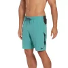 Big & Tall Nike Contend 9-inch Swim Trunks